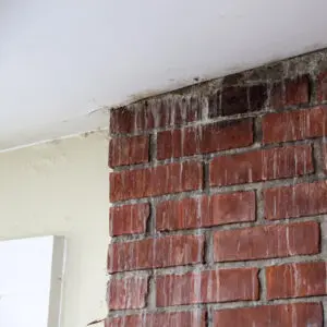 Chimney Water Leak Repair Solutions chimney monkey