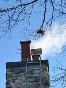 Rain Cap Installation Palatine