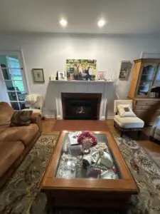 gas fireplace insert Lake Forest