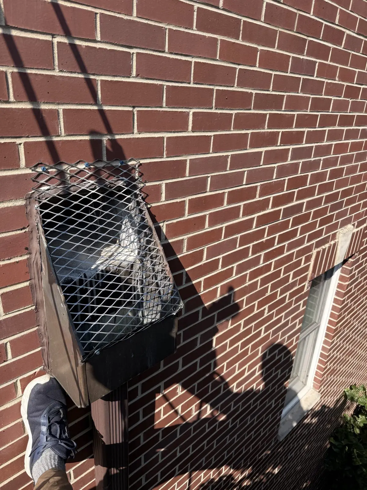 Close-up of expanded stainless steel mesh screen fastened over a conductor head on a brick wall.