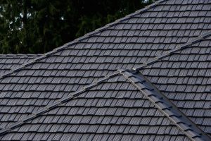 chimney sweep roof