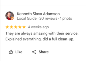 reliable chimney service