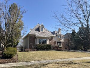 Level 2 chimney inspection in Vernon Hills
