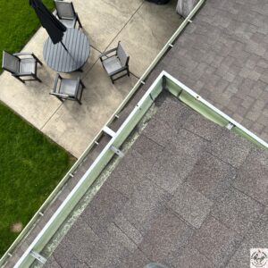 Gutter cleaning High Point Lane Northbrook