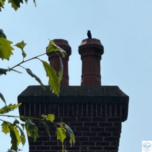 Chimney inspections and sweeping