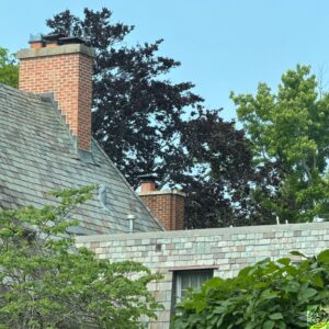 Chimney Care Wilmette