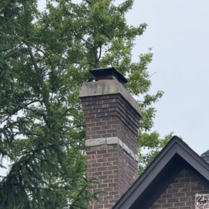 Chimney Sweep on Castlewood Lane