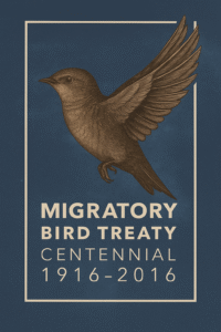 chimney swifts north shore chicago