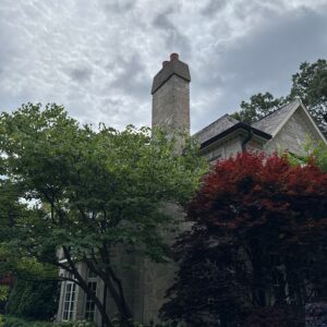 Chimney Inspections Glenview