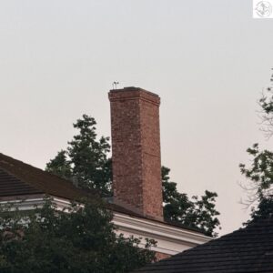 Chimney Sweep in Lake Forest