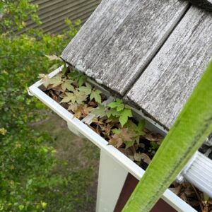 Gutter Cleaning in Lake Forest