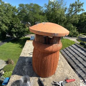 Animal Intrusion Prevention on Marion Avenue