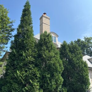 Birds in Chimney Removal Winnetka
