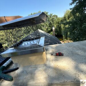 Chimney Cap Installation in Lake Forest