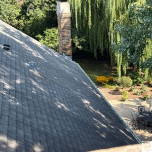 Chimney Services in Lake Forest