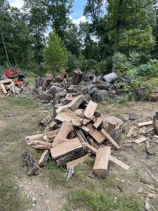 Seasoned Firewood in chicago