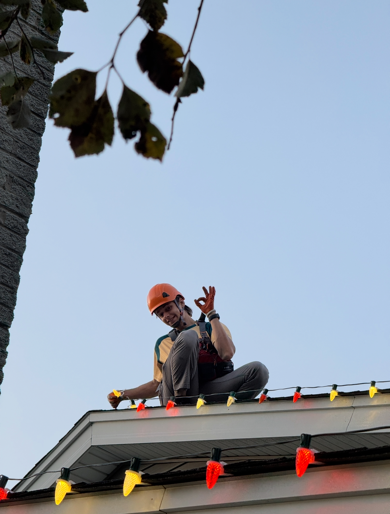 holiday lights installer