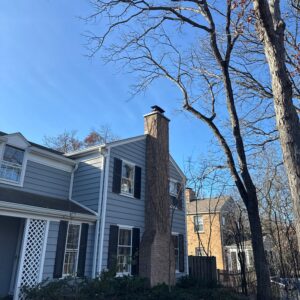Chimney Inspections Highland Park