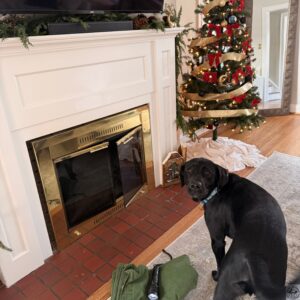 Chimney Sweep in La Grange Park