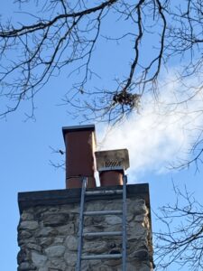 Rain Cap Installation Palatine